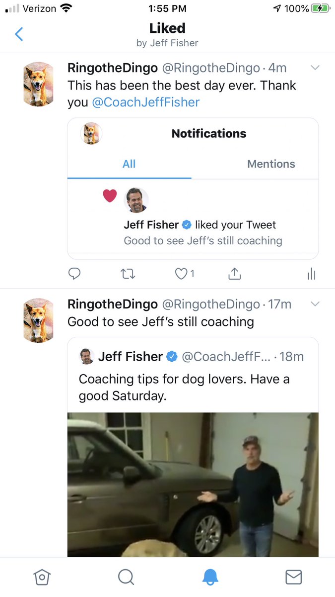 RingotheDingo tweet media