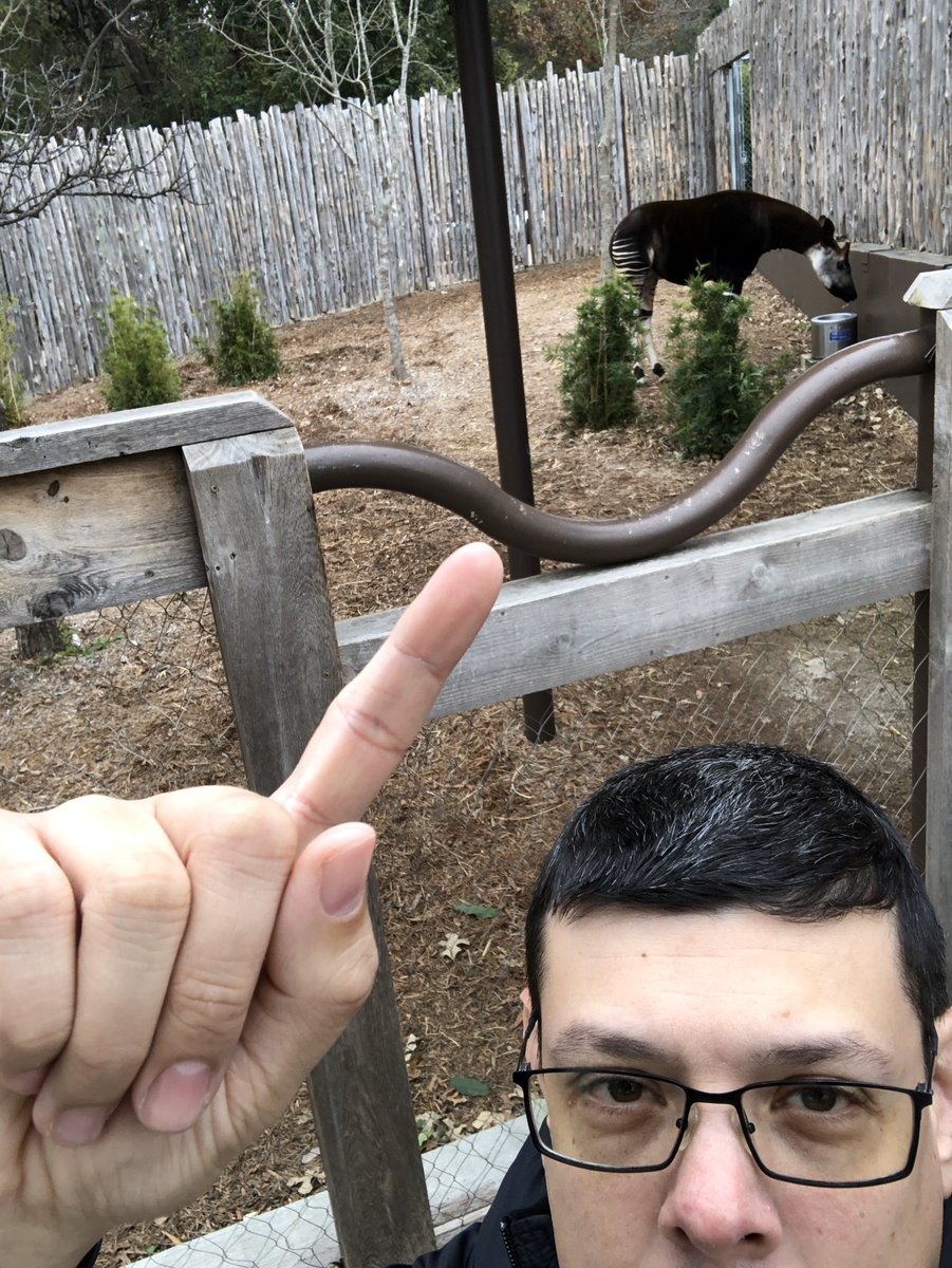 DFWTeslaRides's tweet photo. @KevinHart4real  I found your deerbra! https://t.co/pHVCLaxzIm