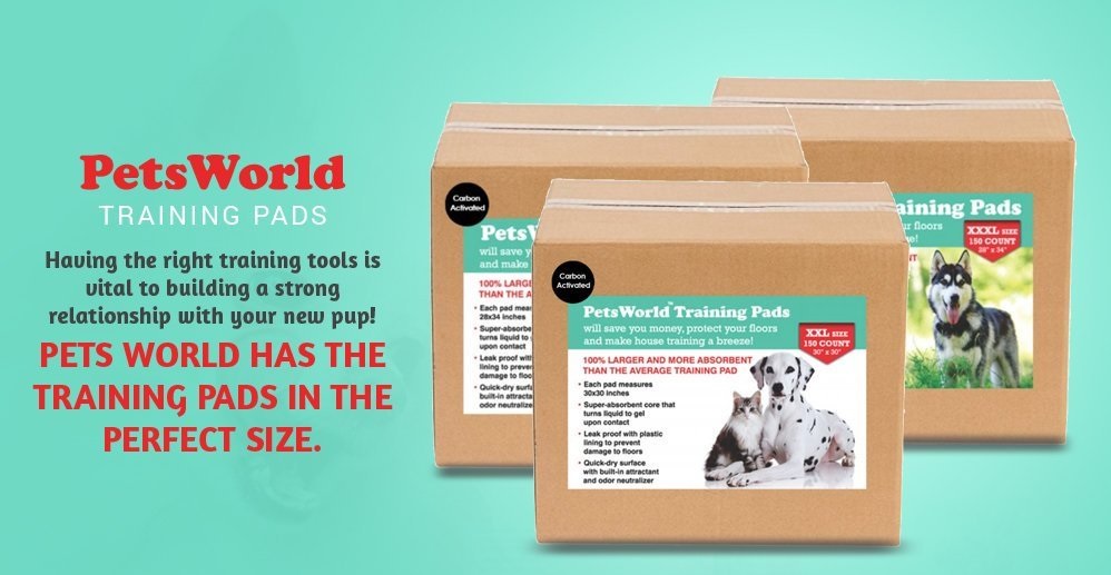 Petsworld Codes