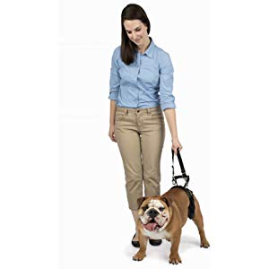 cheapdogstuff's tweet photo. PetSafe Solvit CareLift Lifting Aid Harness for Dogs - Rear Only - Small, Medium, Large

$16.76

@amazon 

https://t.co/shjdebH6al https://t.co/LC9pn190XQ