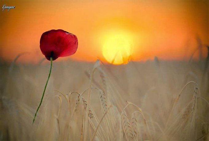 Flo de Flo tweet media