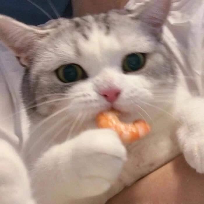 irenecappu's tweet image. ชอบจุ้ง