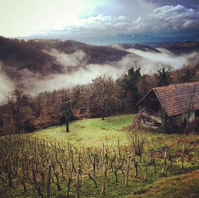 Majestic winter day in Žumberak mountains. We only went for a bit but stayed the entire day, enchanted by the landscape and the company of very special people.

#zumberak #crostagram #croatiafullofmagic #winterlandscape #ruralphotography