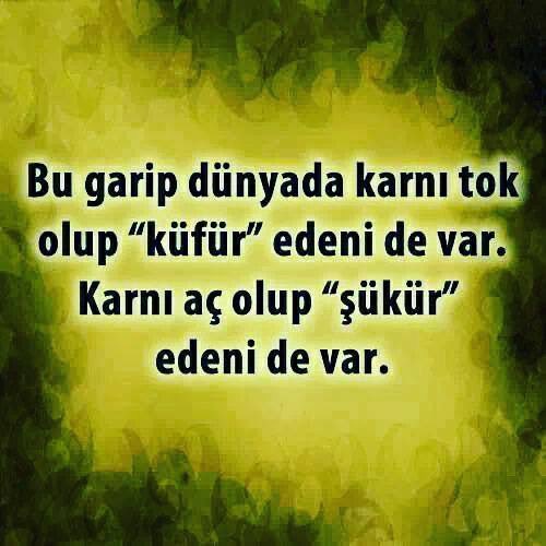 Ahmet H Muhtaroğlu (@ahmetmuhtaroglu) on Twitter photo 