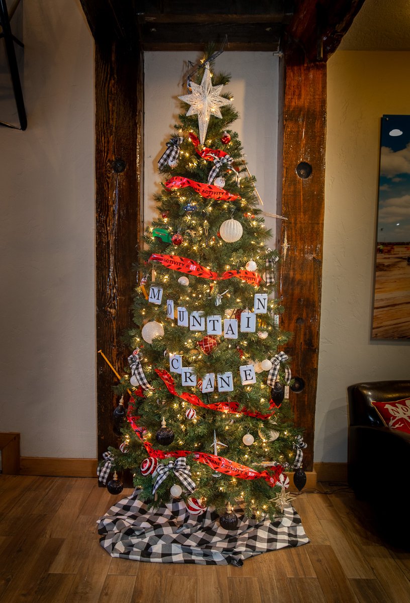 Who's ready?  We're feeling the Christmas spirit!  Good luck with all your last minute preparations.  #Christmas #construction #cranes #weloveourteam #liebherr