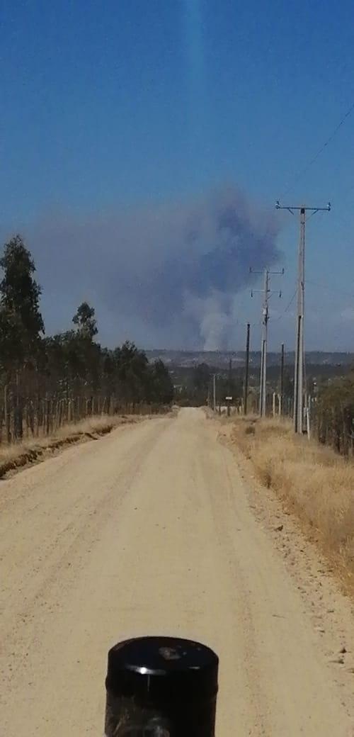Incendio forestal San Pedro melipilla con límite con litueche  jurisdicción San Pedro.. 6 región Chile...