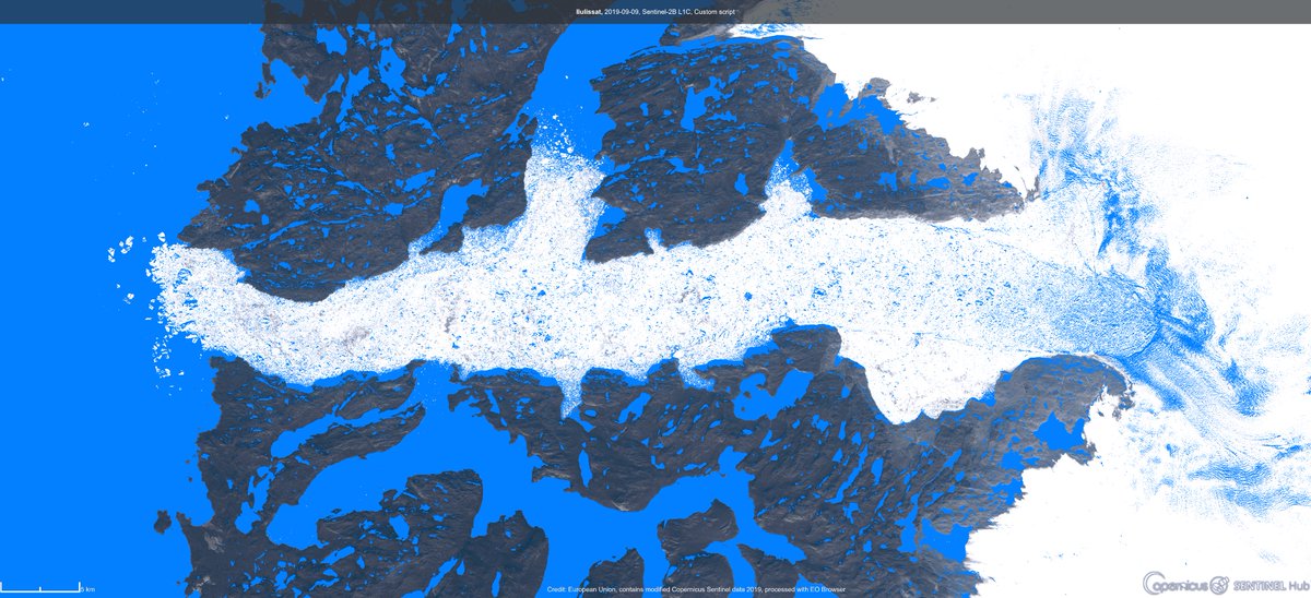 Refynarai's tweet image. Water highlighting with real color background on everything else. This is the Glacier at Ilulissat Icefjord in #Greenland where the water pools at the front of the glacier using #Sentinel2 data #RemoteSensing