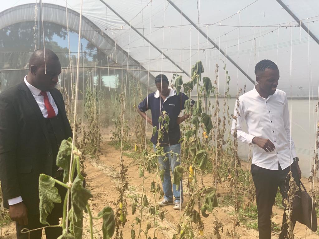 4hZimbabwe's tweet photo. 4-H Zimbabwe Foundation have partnered with Jairos Jiri - Bulawayo to assist and launch an Agric Club for young people living with disabilities. The National Director toured the farming area today and club will be launched in January 2020.

@JSirangelo @NLintheUSA https://t.co/iVyHbJdDys