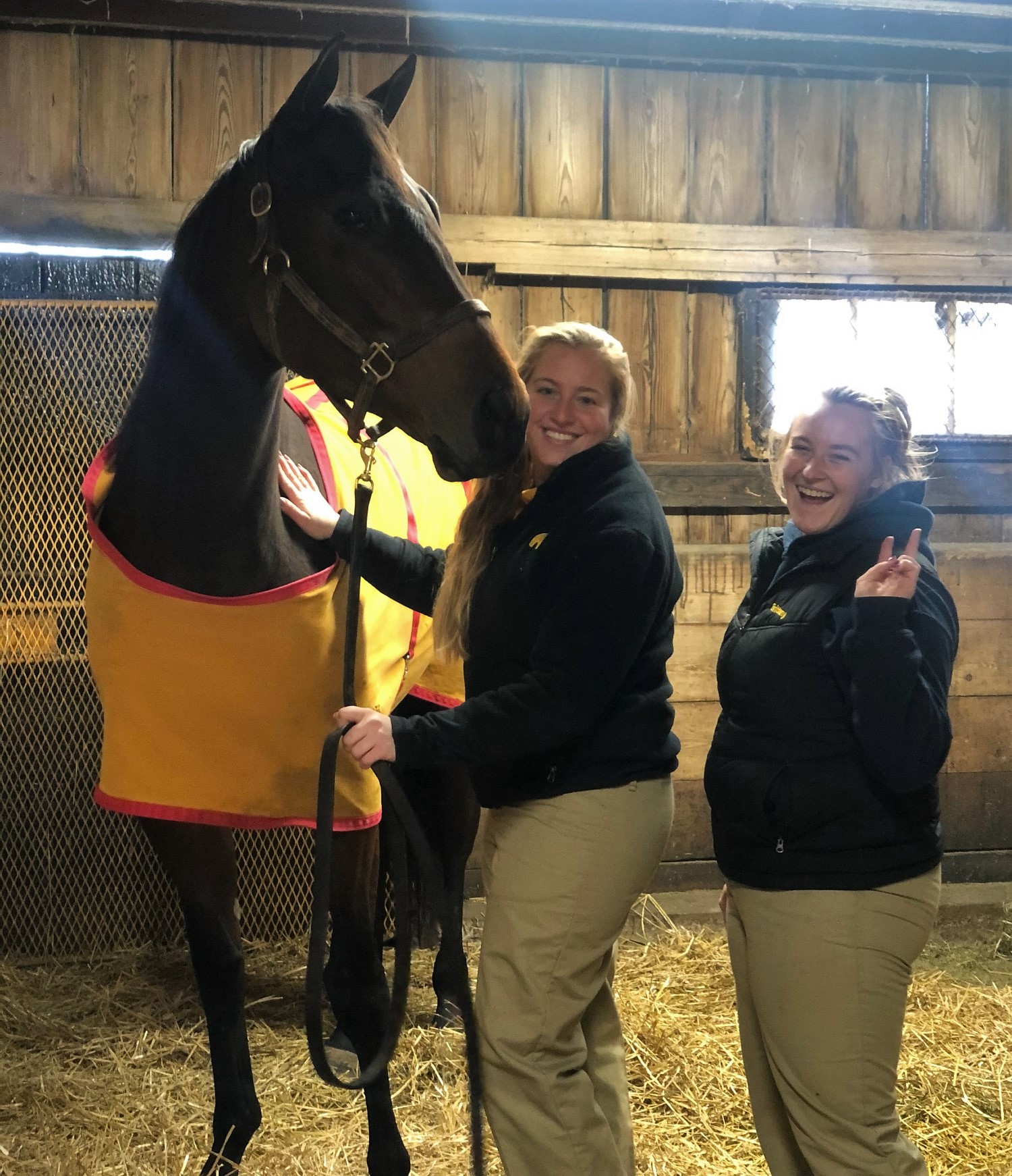 Claiborne Farm on Twitter "The holidays might be right around the