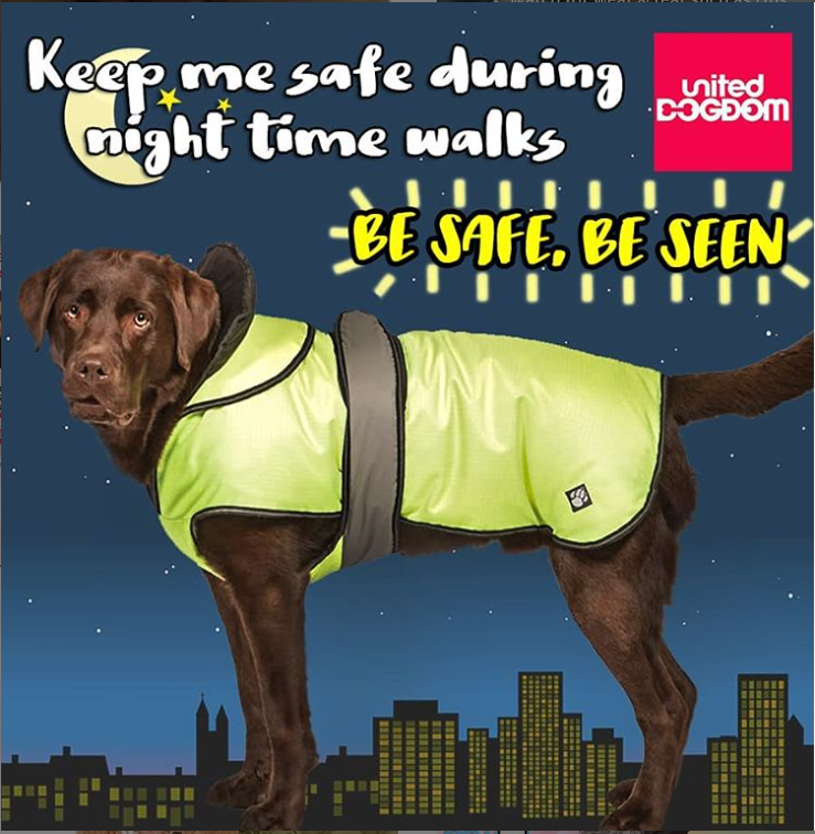 UnitedDogdom's tweet photo. Now the days are getting shorter ๐ make sure your #dog can be seen in the dark ๐ in this #hivis #dogcoat๐พhttps://t.co/kUcv9uX4Uq
.
.
.
.
#beseen #reflective #nightwalks #dogwalk #dogsafety #dogwalk #dogwalker #dogwalking #reflectivecoat #walkies #dogsoftwitter @dotty4paws https://t.co/MXucq5TruD