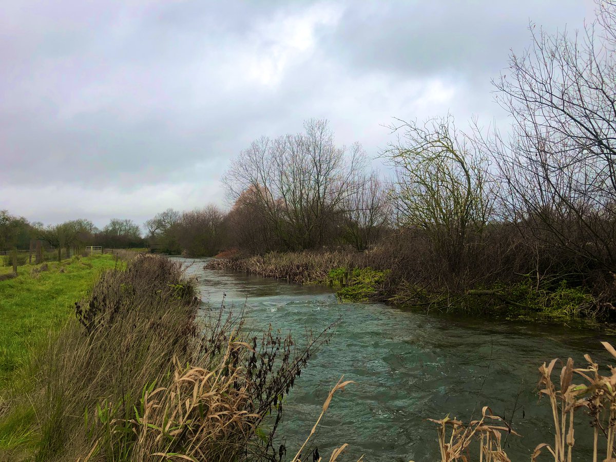 jardineflyfish's tweet photo. Crossing over numerous burst-banked streams and water logged fields it was hard to know what we would face today.
Fortunately, the Anton, although slightly high and coloured offered up a treat for @Gilly_Bate Pete and I. https://t.co/GOQI80DQB5