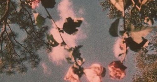 𝐍𝐞𝐯𝐞𝐫 𝐄𝐧𝐝𝐢𝐧𝐠