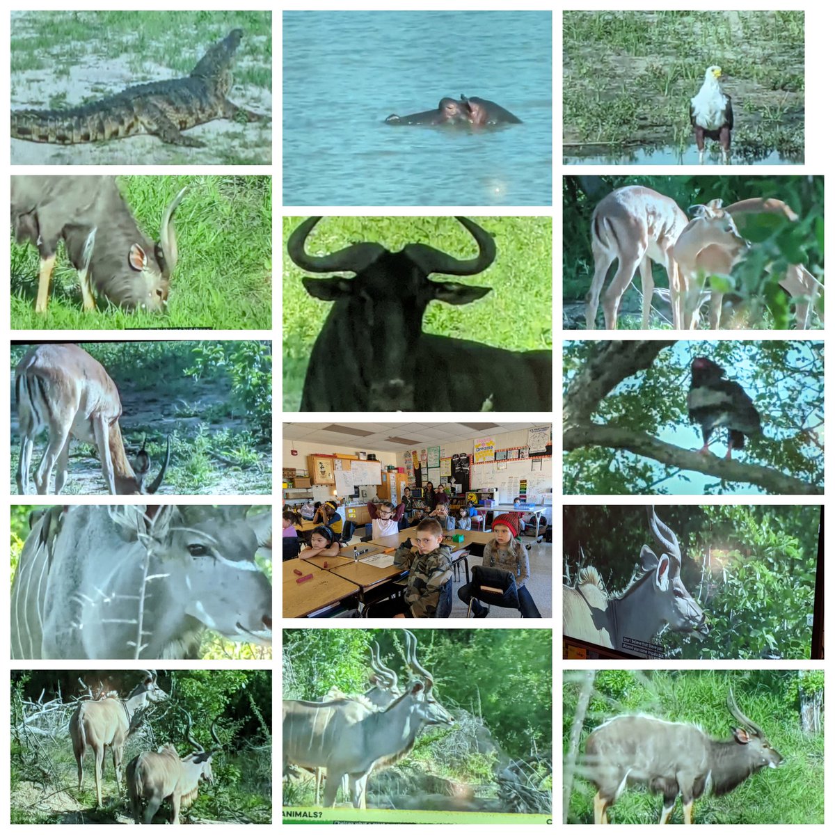 Mrs. Barba tweet media