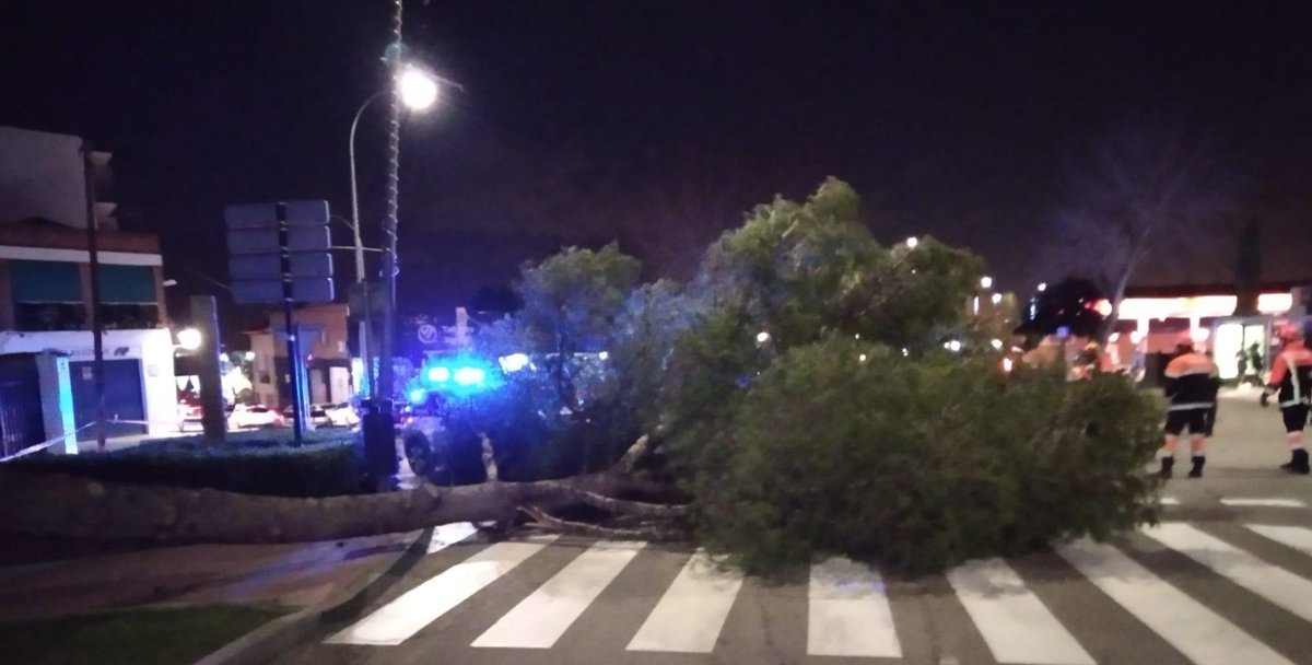 Navalpolicia's tweet photo. ⚠️ Hemos tenido cortada la calle Constitución hasta la retirada del #Árbol de grandes dimendiones derribado por el viento.🌬
Actúa #ProtecciónCivil que lo aparte de la calzada.
Extremar precauciones, #ElTemporal sigue activo.
#PortuSeguridad
#Navalcarnero https://t.co/hHboUEFCbR