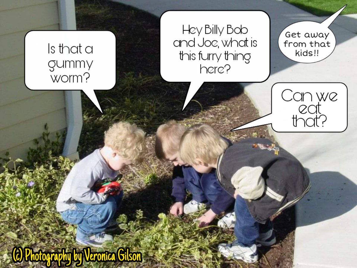 creaturesofclaytheband.com
.•*¨`*•. ☆ .•*¨`*•.☆.•*¨`*•. ☆ .•*¨`*•.
Pictures Are Worth A Thousand Words. ~ VG 
.•*¨`*•. ☆ .•*¨`*•.☆.•*¨`*•. ☆ .•*¨`*•. 
#photography by Veronica Gilson