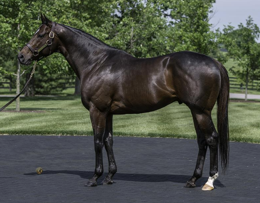 WinStarFarm's tweet photo. 2YO Mind Your Own Biz wins the Illinois Juvenile S. for sire FED BIZ! Bred by Richard Ravin. #TheBuzzisReal https://t.co/nQMQ2MUoEN