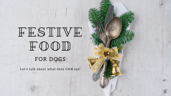Carole Sandhu is back with a blog post about Festive Food For Dogs.  However, unlike most blog posts this time of year that warn about what dogs can't have, Carole has focused on what they can have! #schnauzergang madaboutschnauzers.co.uk/2019/12/21/fes…