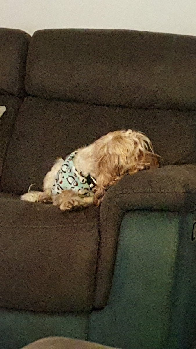 Print it Stitch it tweet media