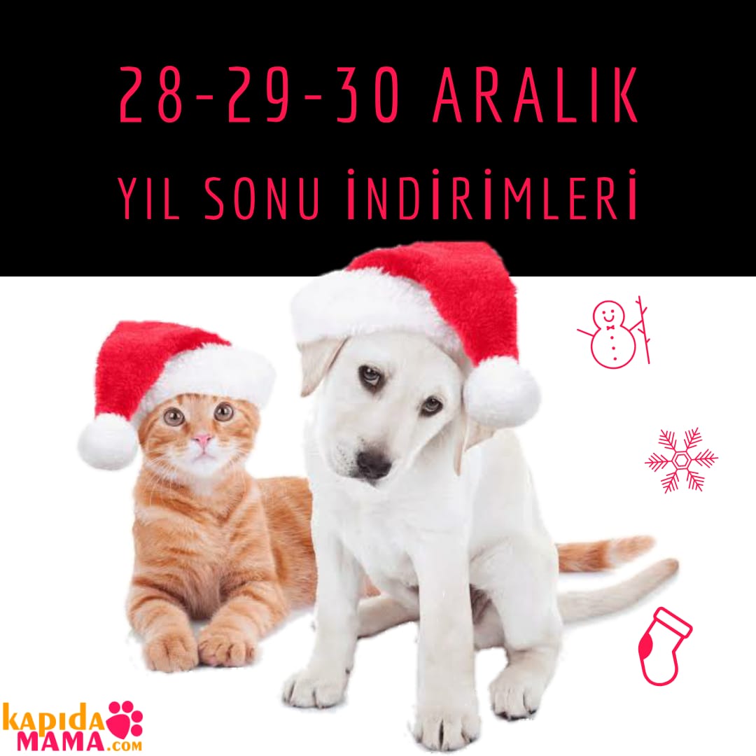 Çok yakında Sakarya Paticik’te ! 🤹🏻‍♀️ #cumartesi #adapazari #sakarya #evcilhayvan #moda #kedi #kopek #sevgi #evcilhayvan #alisveris