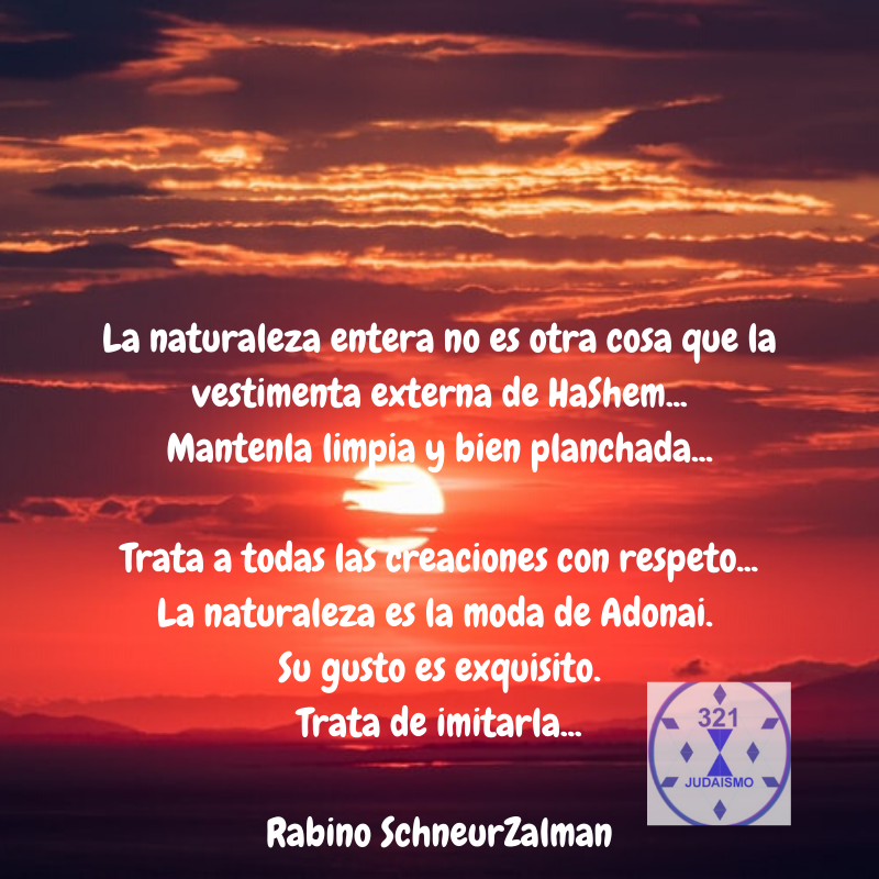 321Judaismo's tweet photo. La naturaleza, Que es? #Dios #Elohim #Elokim #Hashem #Adonal #CreacionDivina #Naturaleza #Espiritualidad #Cabala #Kabalah #SabiduriaRabinica #SabiduriaJudia #321judaismo #MedioAmbiente #Ecosistema #Ecologia #PresenciaDivina #Zohar #Torah #Tora #AprenderJudaismo #Fe #salud #Vida https://t.co/GKmA3bQTsh