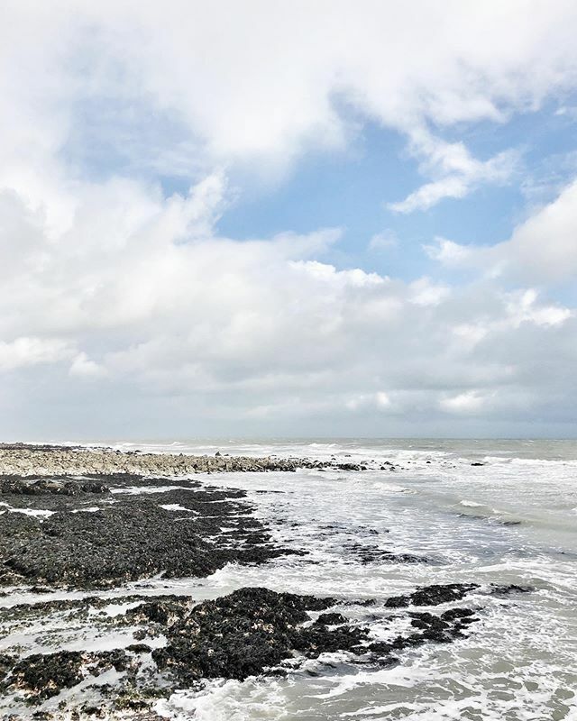 SmallAcornsBlog's tweet image. windy, winter walks... ift.tt/34Nto1I