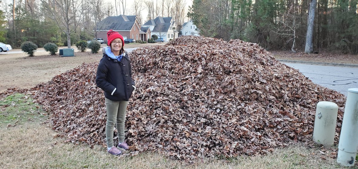 cyrus_kelvin's tweet photo. #DadMoments ..OMGoodness, even more leaves this year!π²π
No change in philosophy yet! ππππππ
Working together w/ my #MiniMe & @my_cy2
#RelishingTheRide #DaysSlowYearsFast
#GoKissYourKids https://t.co/bNWDoz6OwU