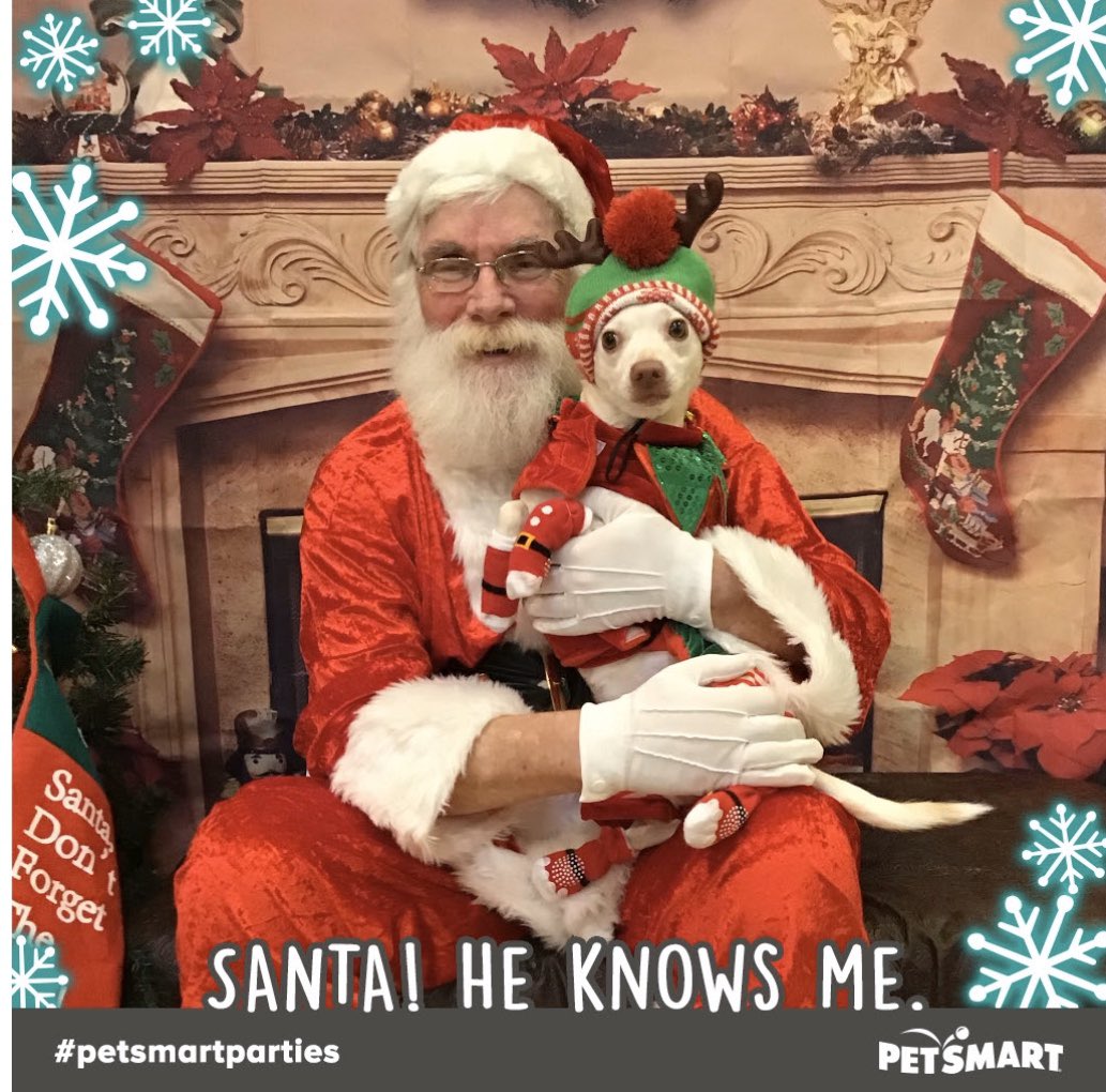 That’s a wrap for today! One more day of Santa photos tomorrow! We saw lots of great pets at <a href="/PetSmart/">PetSmart</a> #198; just look at some our cuties that we had!!
@LifeatPetSmart <a href="/PetSmartAE/">Associate Engagement</a> #petsmartparties <a href="/JenniferLGuinn/">Jen G</a> @