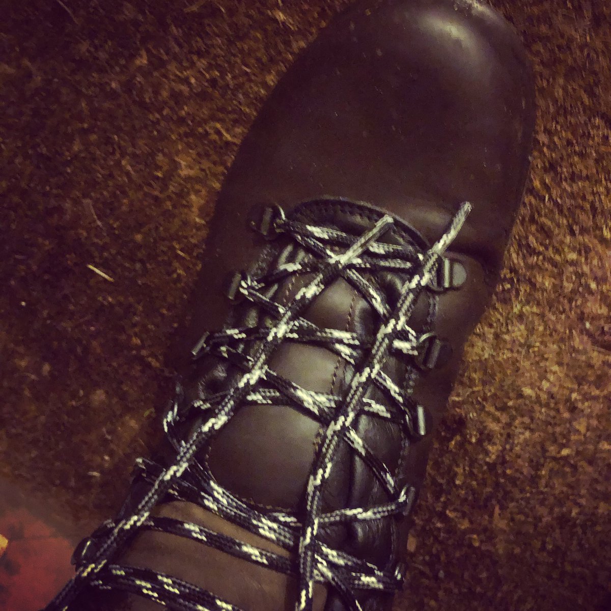 craigfinnie's tweet photo. Quite happy with my new @grisport_uk boots, well finished & comfortable. But was there some sort of laces shortage the day they were sent out?
#littlebows #walking #health #goodfortheheed https://t.co/lGYSUO5hGD