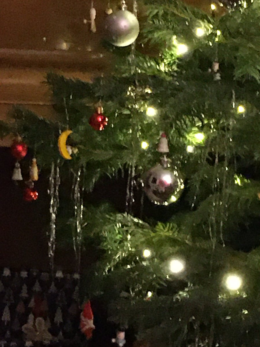 stephaniewolf tweet media