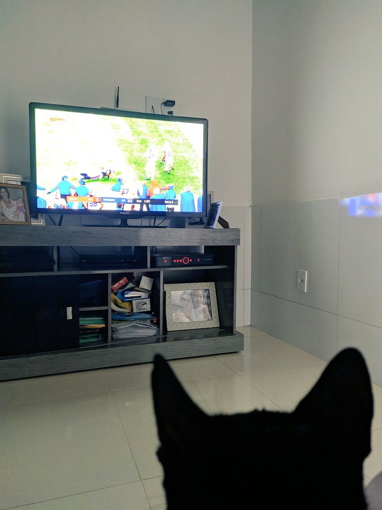 RoberioFiguered's tweet photo. Bruce tbm está torcendo pelos Patriots. #goPats #NFLnaESPN https://t.co/idNoX1STHb