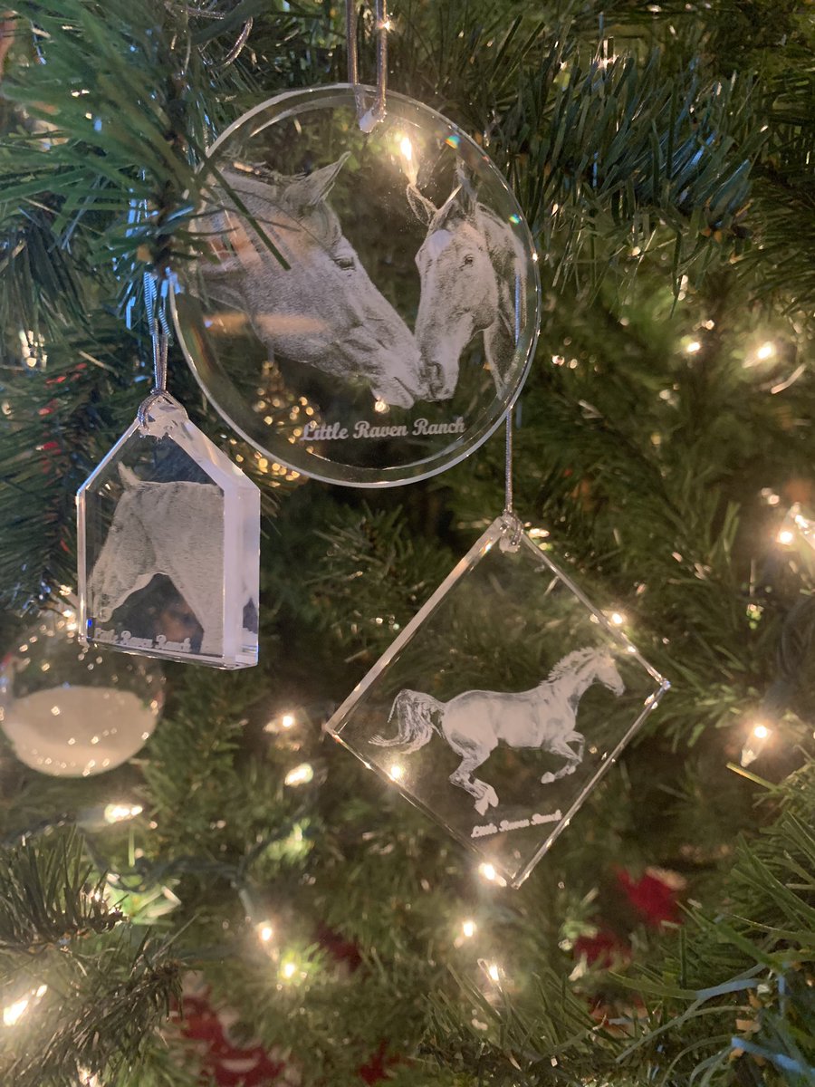littleraven1's tweet photo. #christmasgifts check out these cool ornaments we are giving to our boarders this year! https://t.co/K4DUA9POrL