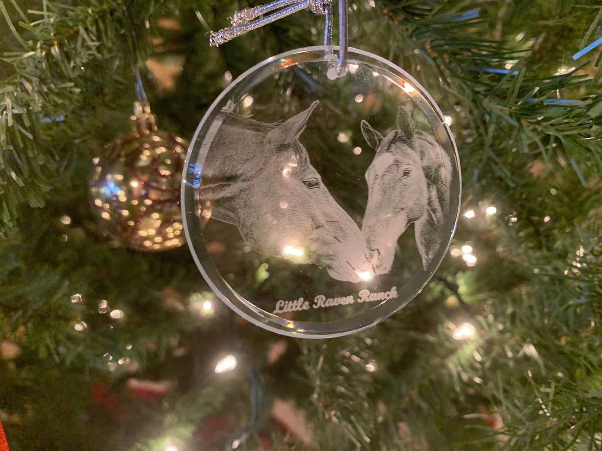 littleraven1's tweet photo. #christmasgifts check out these cool ornaments we are giving to our boarders this year! https://t.co/K4DUA9POrL
