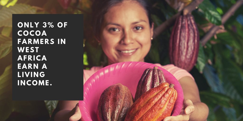 BotanicalsSH's tweet photo. The living income in Côte d'Ivoire where most cocoa is grown is $2.18 a day, which is double what most currently earn.
(https://t.co/JnWbxRW7FG) Buying Fairtrade makes a difference. 

#fairtrade  #fairfarming #fairwages #safeworkers #shopfairtrade #buyfairtrade https://t.co/4OR6Ks2gPj