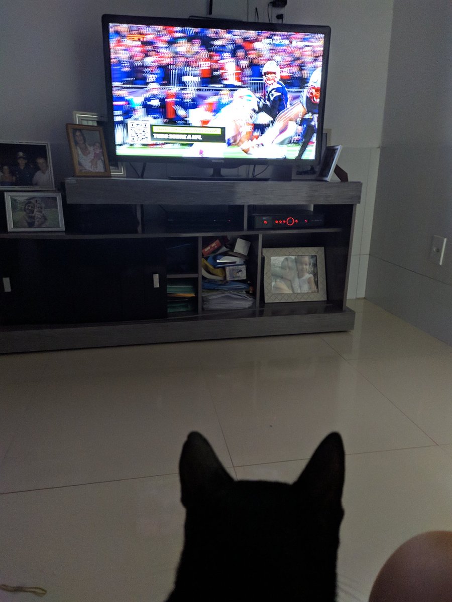 RoberioFiguered's tweet photo. Bruce tbm está torcendo pelos Patriots. #GoPats #NFLnaESPN https://t.co/Y2TNLRHkn9