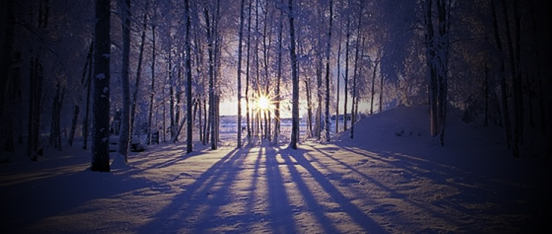AuthorHarald's tweet photo. MOST IMPORTANT DAY - I talk about this day every year. When the days turn. When the sunlight reverses. When we start our seasonal renewal. It’s the winter solstice. You can read about it on my new site post here: https://t.co/TwgYO7nppm
#WinterSolstice https://t.co/5XDjRC2kEZ
