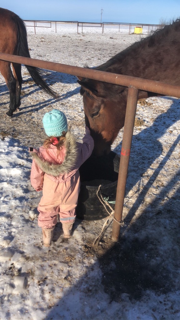 WPCA Chucks (@wpcachucks) on Twitter photo FRIENDS COME IN ALL SIZES.
Teal Fike, the oldest daughter of #wpcachucks driver <a href="/Jfikechuckwagon/">Jordie Fike</a> and his wife Tamara, show us that friends can come in all sizes Jordie's right wheeler named "Birthday" thinks the same
#friends #Christmas #family #horses FRIENDS COME IN ALL SIZES.
Teal Fike, the oldest daughter of #wpcachucks driver <a href="/Jfikechuckwagon/">Jordie Fike</a> and his wife Tamara, show us that friends can come in all sizes Jordie's right wheeler named "Birthday" thinks the same
#friends #Christmas #family #horses