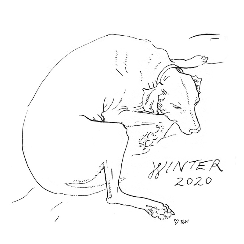 tessevans's tweet photo. Happy solstice &amp; merry winter mix! https://t.co/MMJfTJwk68 https://t.co/4ougaU8POK