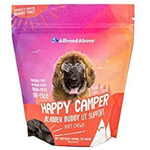 cheapdogstuff's tweet photo. A Breed Above: Happy Camper Bladder Buddy Urinary Tract Support

$10.39

From: @amazon 

https://t.co/2Gl0eIB3qY https://t.co/zqgJIigJ2m