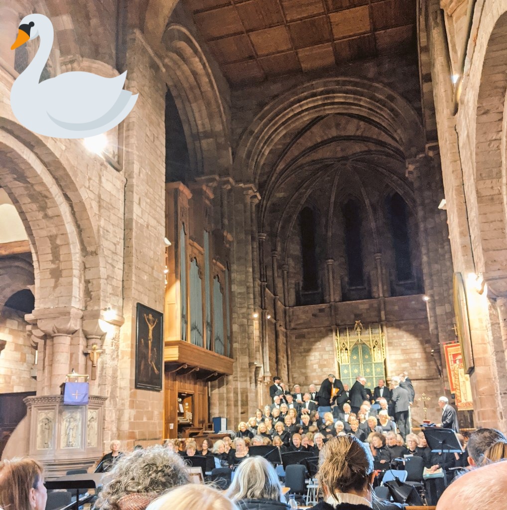 Well, what an amazing evening, feel very humbled (and christmasy) to have been able to watch such a beautiful performance at the abbey. The Shropshire charity concerts choir wow! Thank you for your support of the swan fund #kindness #onechance