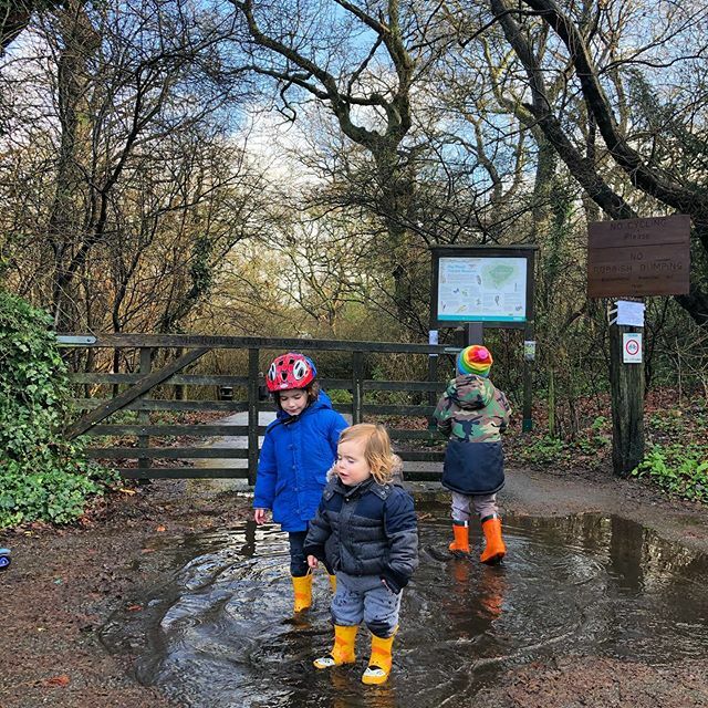 Misty_Hunt's tweet image. #puddlejumping