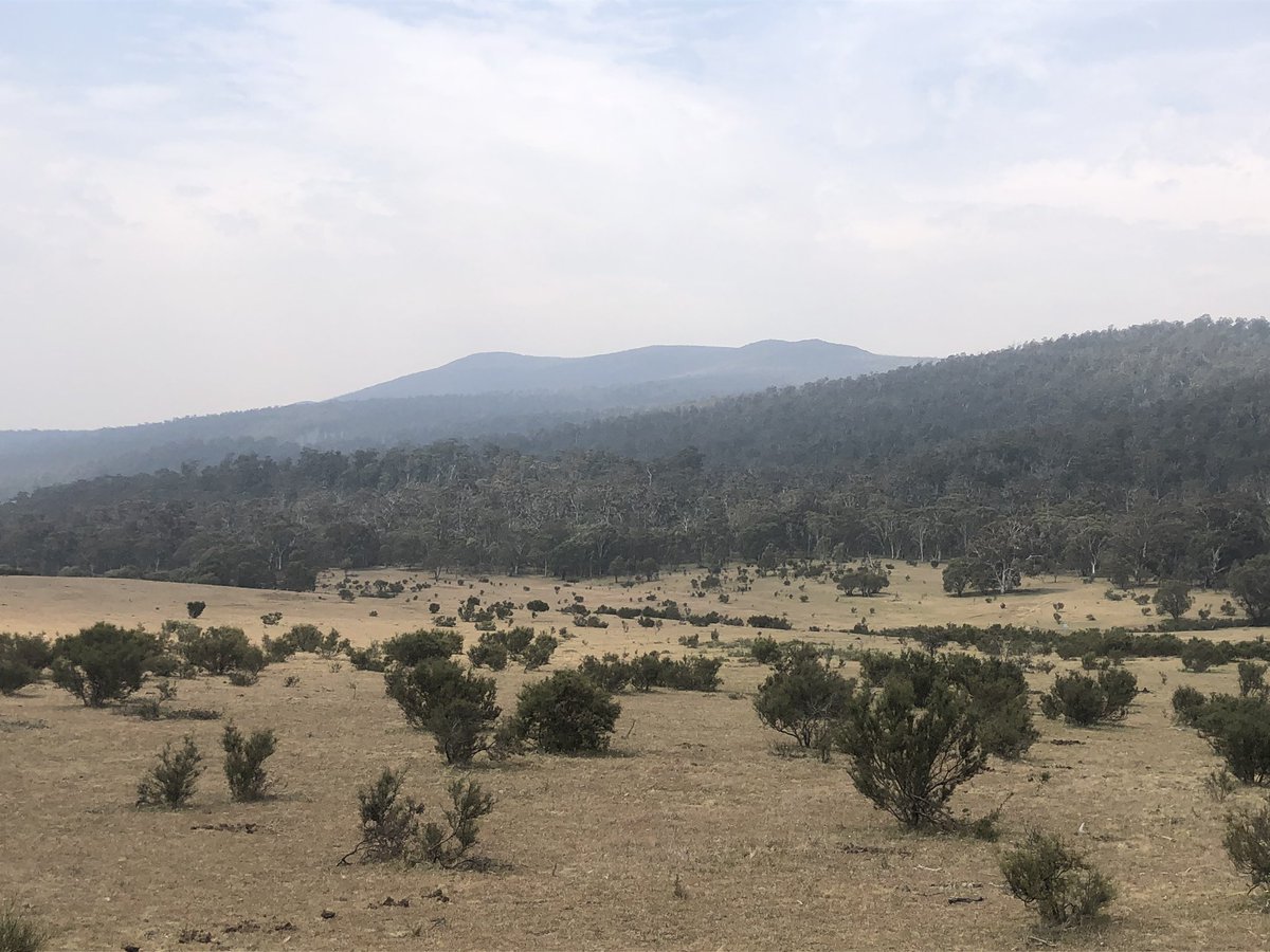 I want to share one more photo before I disappear into a valley and reception goes. It’s a view I took from Thredbo last winter of Mt Pilot (1829m, the distant conical one). I’m approaching it now from the far (southern) side. May climb it depending on energy level  #AAWT