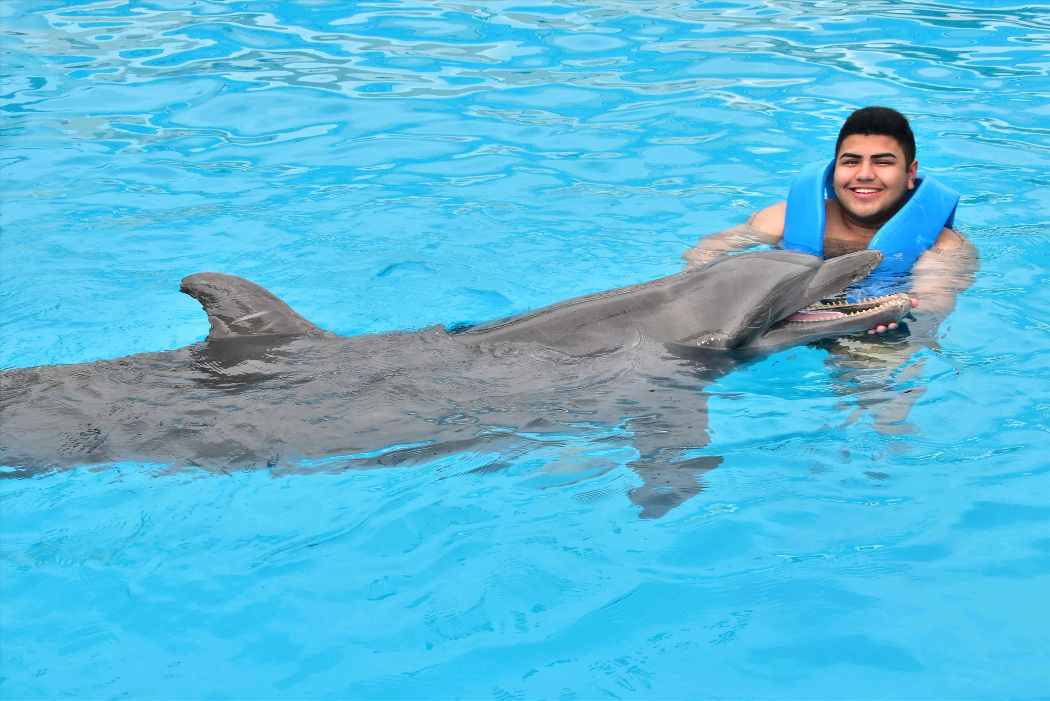 man fuck dolphin 