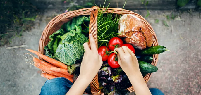 In Healthy Living &amp; Avoiding Substance Use, this course will teach you about 10 areas to prevent illness and create health and wellness: diet, addictive, processed foods, and more!

…ss-education-consulting.teachable.com/p/prevention-h…