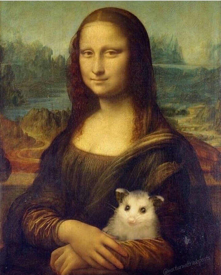 hannahhalliday7's tweet photo. @coolcatcassidy hhhhhh this is pure art ty https://t.co/LZERe9OUsB