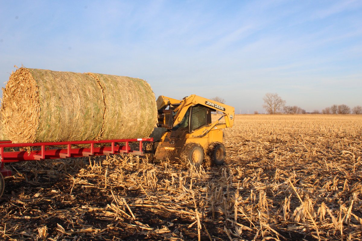 NevadaFFA's tweet photo. Matthew loading cornstalk bales on trailer at Moser Farms #SupervisedAgExperience #farming @iowaffa #nevadacubpride https://t.co/9Yy4OxXbmw