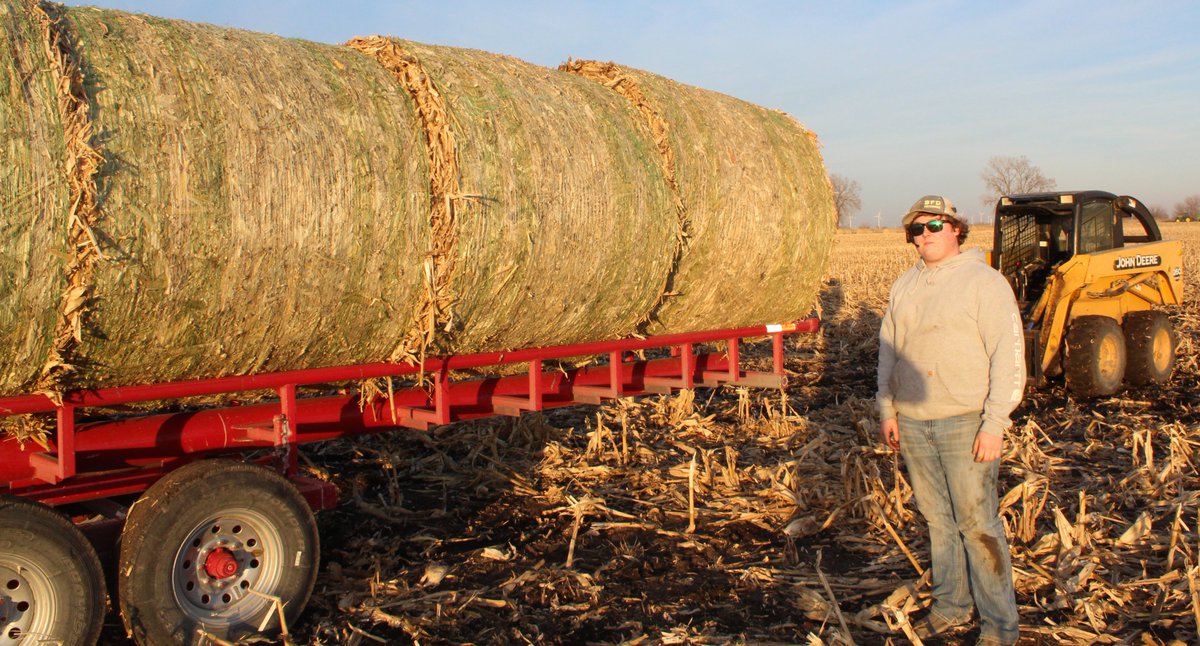 NevadaFFA's tweet photo. Matthew loading cornstalk bales on trailer at Moser Farms #SupervisedAgExperience #farming @iowaffa #nevadacubpride https://t.co/9Yy4OxXbmw