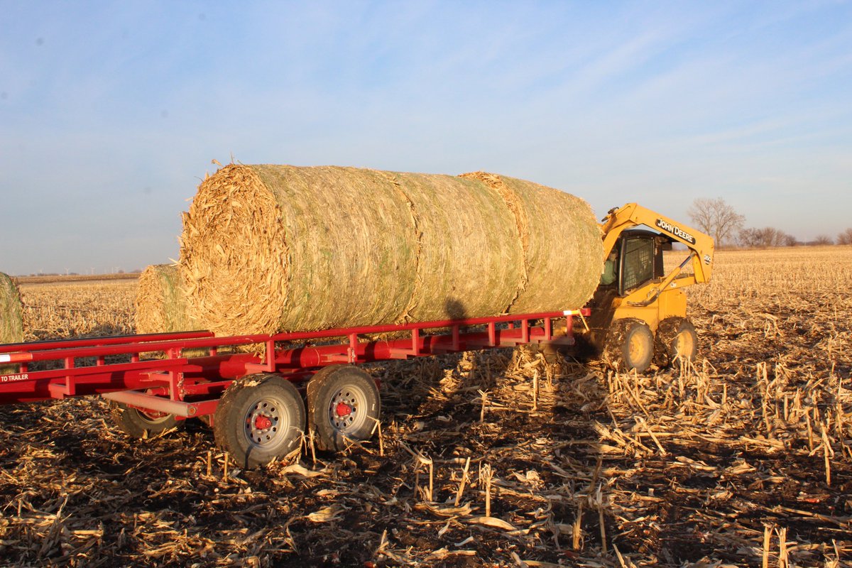 NevadaFFA's tweet photo. Matthew loading cornstalk bales on trailer at Moser Farms #SupervisedAgExperience #farming @iowaffa #nevadacubpride https://t.co/9Yy4OxXbmw