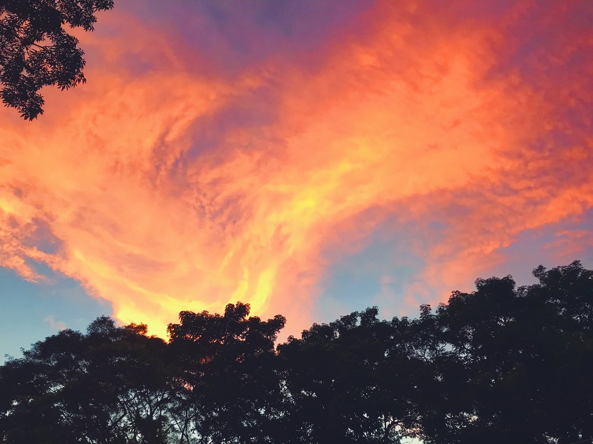 gmedrano03's tweet photo. Antes de que se acabe el año quiero hacer un hilo con sus mejores fotos del cielo en el  2019 🌌 https://t.co/MkjkNXeu0r