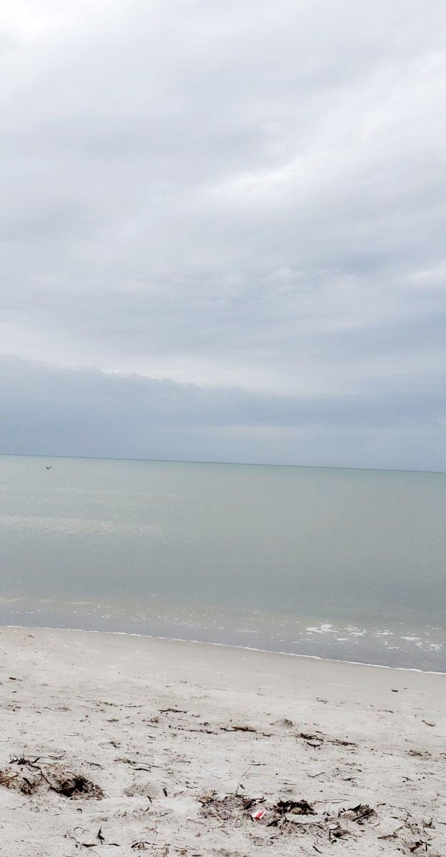 Natalie Ritter (@NatalieRitter5) | Twitter