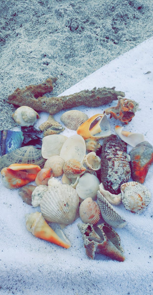 Natalie Ritter (@NatalieRitter5) | Twitter